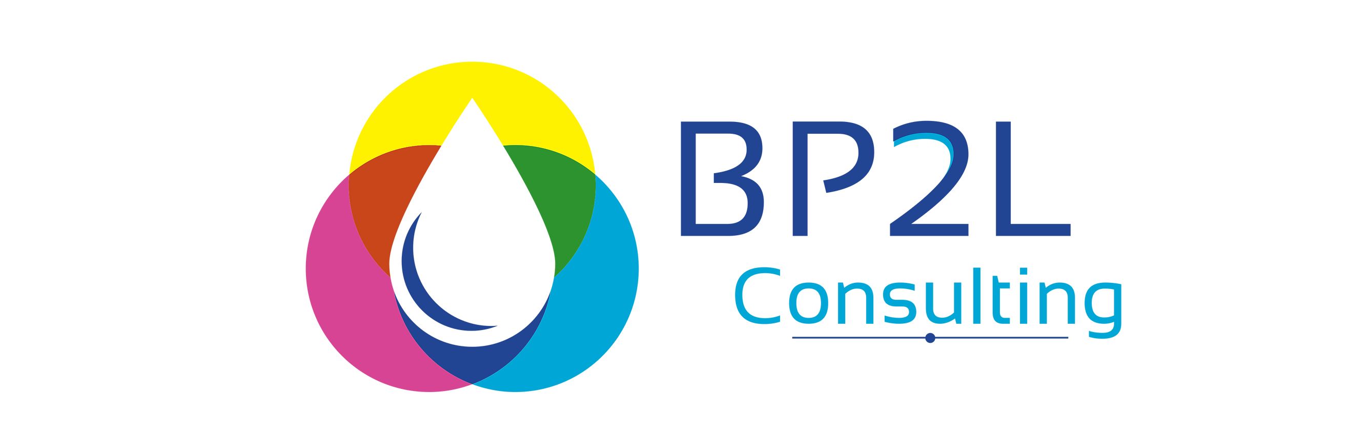 BP2L consulting